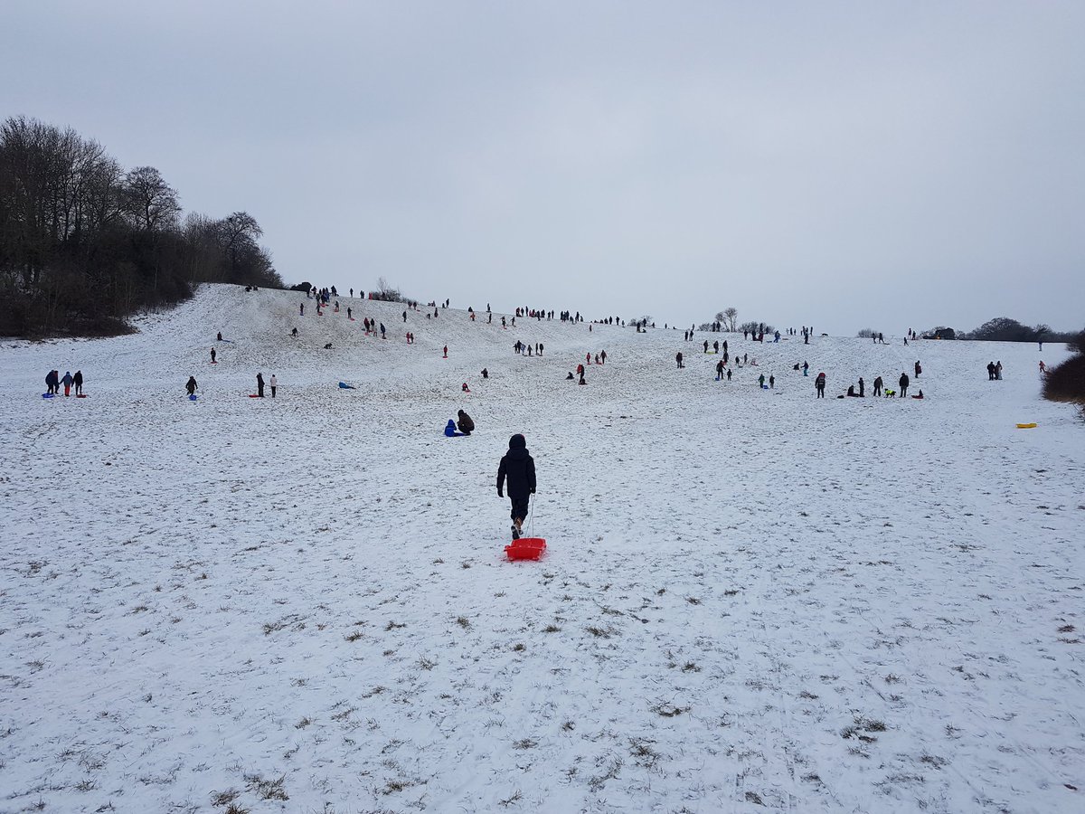 kateerawlings's tweet photo. #snowday #bugsbottom  @TheHillPrimSch @Year2TheHill https://t.co/83JBHtoAgC