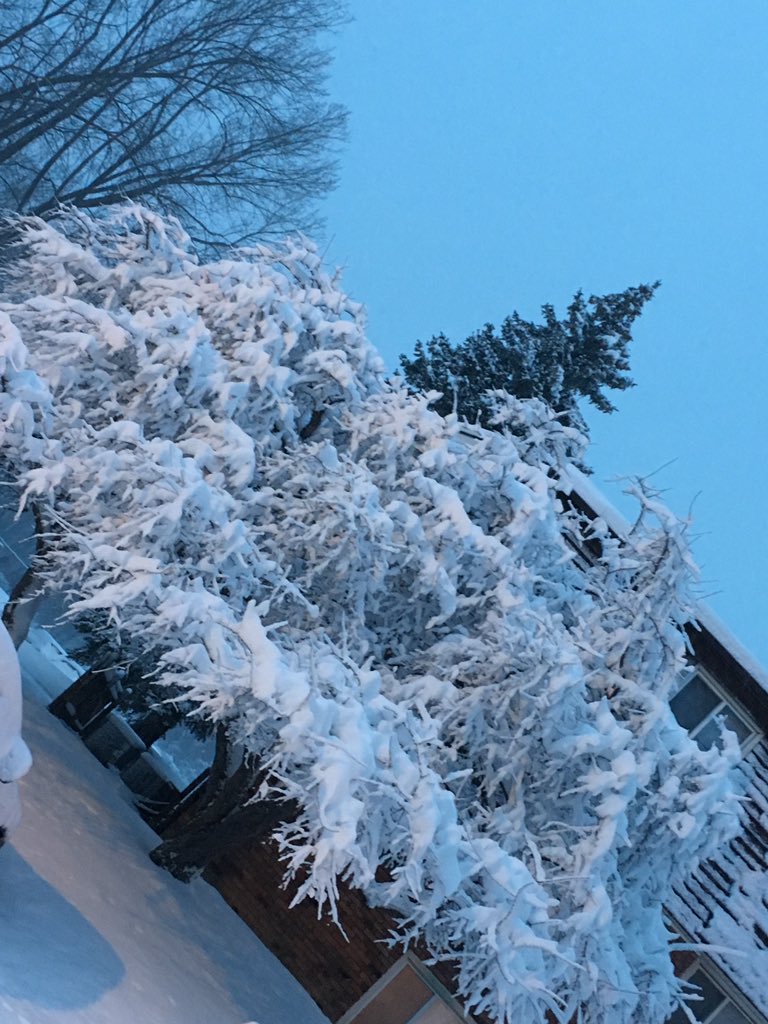 MerePear11's tweet photo. Still got my 5k in this morning! Love snowy running! βοΈπ₯ππΌββοΈπ€ #SnowNinja #NerdGoggles #SnowStorm #SnowyRunning #5K #RunningViews https://t.co/adDDWUxp1V