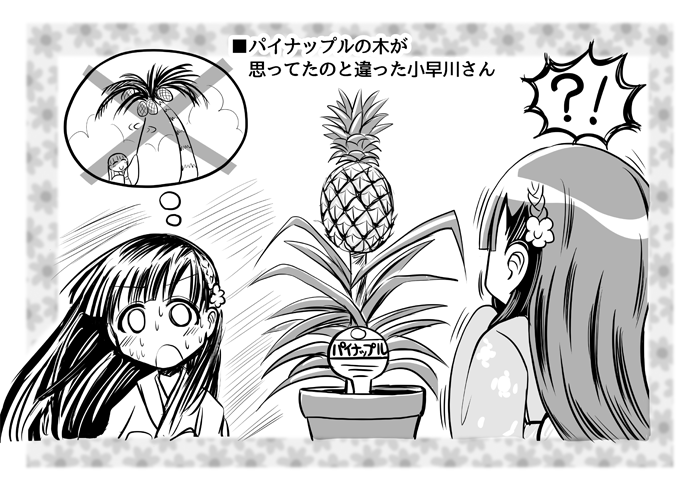 さんぷるこばやかわさん 