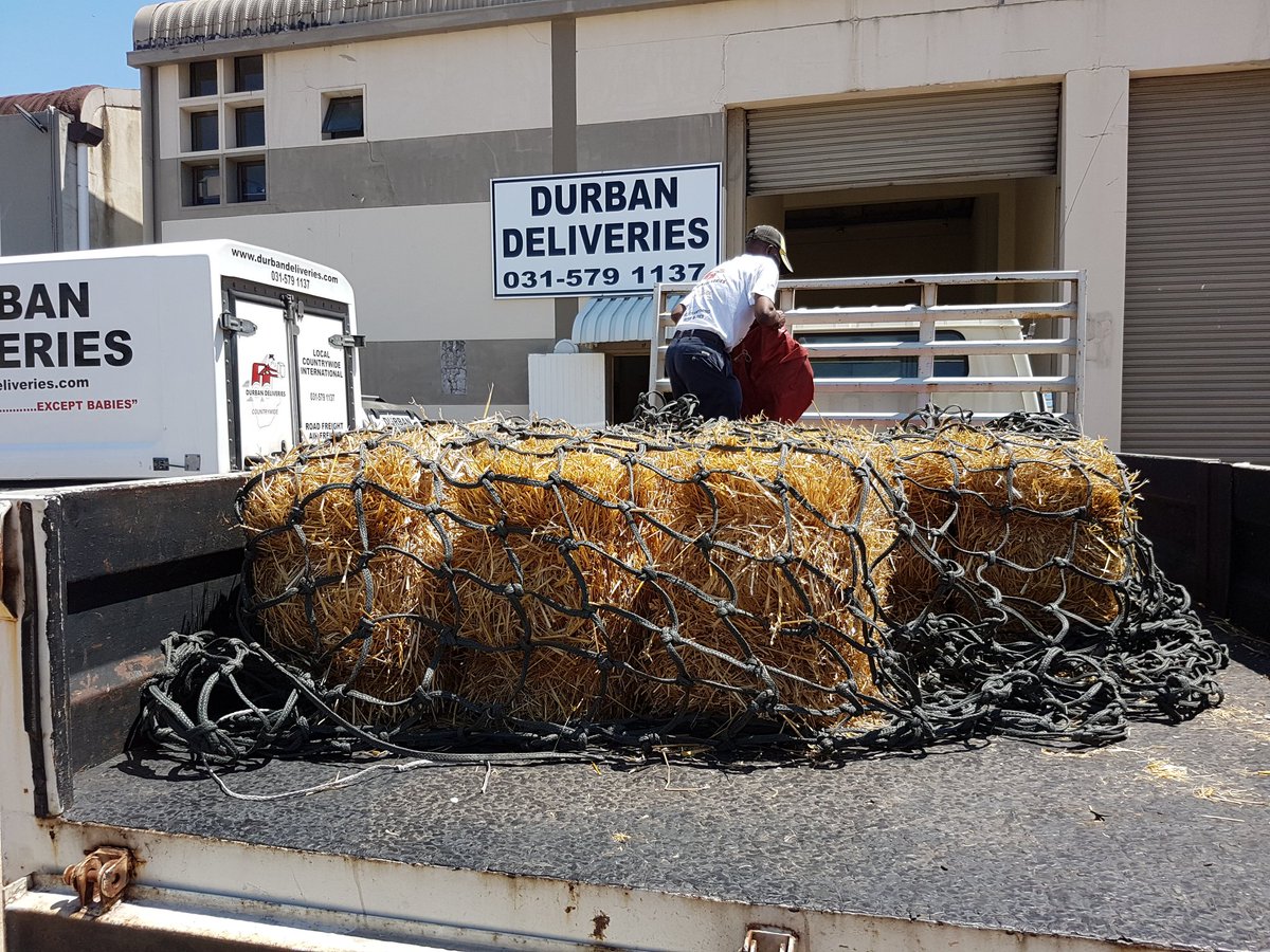 Durban Deliveries (DurbanDel) Twitter