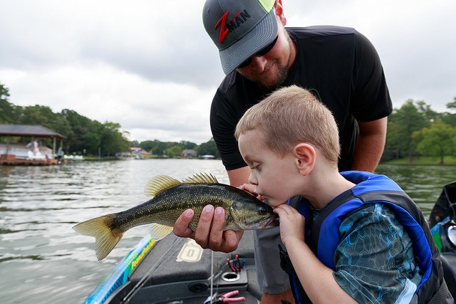 GSOB Fishing tweet media