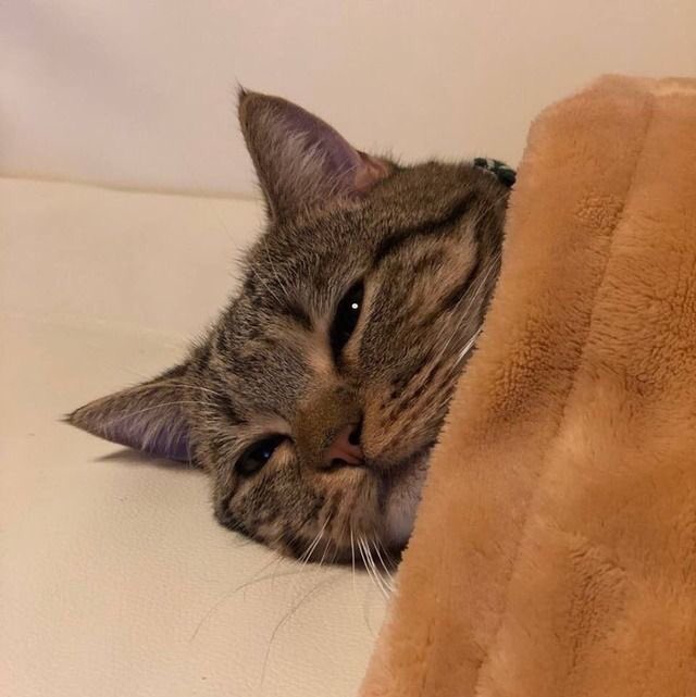 fxx1y's tweet photo. oh my https://t.co/rNEAIlFHMF