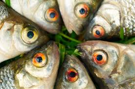GypsyKitchen's tweet photo. No Fish Tales- Just fresh fish at Fresh Market in Hingham
 Sashimi Tuna (2/$7.99) Wild Alaskan Cod ($7.99lb) Fridays Only thru March 30th
  @hinghamshipyard @TheBostonCal @365SouthShore @theimproper https://t.co/coneHWYL0k