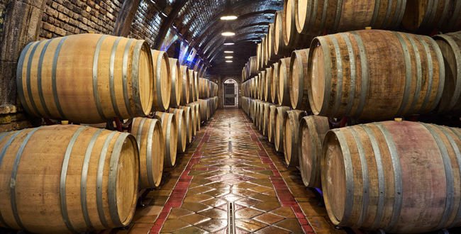 VinatisDE's tweet photo. D'où vient le goût de fût de chêne dans le vin ?
#vin #vinrouge #bouchon #chene #fut
https://t.co/uAm7ofDxli https://t.co/uebjtBAb1b