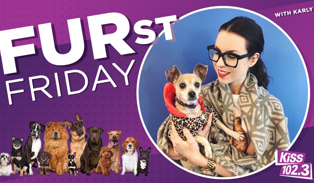 kiss1023's tweet photo. Happy FURst Friday!
Meet Phoenix! She's a 3 year old Chihuahua from California and is currently available for adoption through Funds for Pets Rescue!
https://t.co/I4GvXwz6Rd
#FurstFriday #AdoptDontShop https://t.co/XFAmlcQ4w5