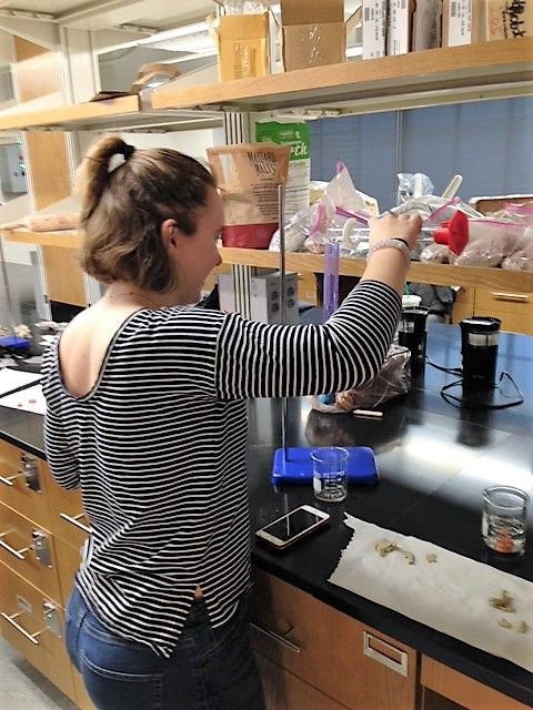 WakeEngineering's tweet photo. "It's incredible how much you learn just from trying one time." #WakeEngineering believes it's important for students to develop resiliency by experiencing failure; iterative course projects can help develop this mindset. @WakeForest #HandsOnMindsOn #LiberalArts https://t.co/LmybLAIBp3