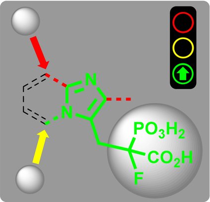 ChemMedChem's tweet photo. Blazewska et al. @P_Lodz_PL report #imidazole-based phosphonocarboxylates as inhibitors of the vesicle-trafficking regulator Rab geranylgeranyl transferase (RGGT) #MichaelAddition #drugdiscovery https://t.co/NG1R3yIpFv https://t.co/gdZMCJ6fdX
