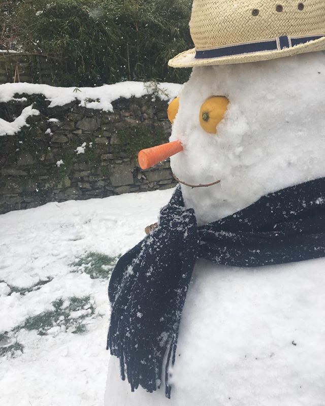 TheGlossMag's tweet photo. When an elderly relative visits from Siberia it can feel a little awkward at first ... tag us in your snowy pics! #snowdays #bestfromtheeast #snowindublin https://t.co/t15TkoiSat https://t.co/XjnIJONomM