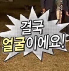 jaemin_said's tweet photo. https://t.co/ySuaKbX5vh