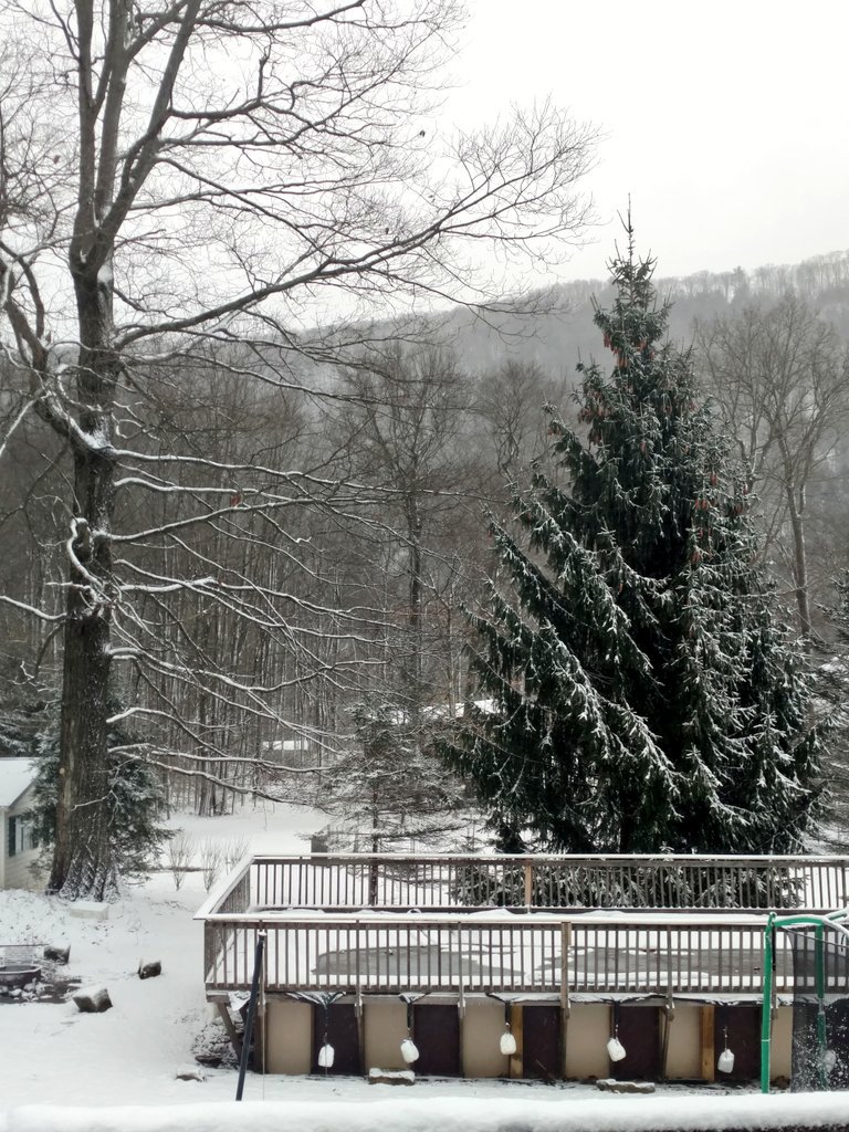 _jessicarebecca's tweet photo. What a difference two days make! #battleoftheseasons #lifeinPA #typical ✌️ https://t.co/YDUg3NnHvL