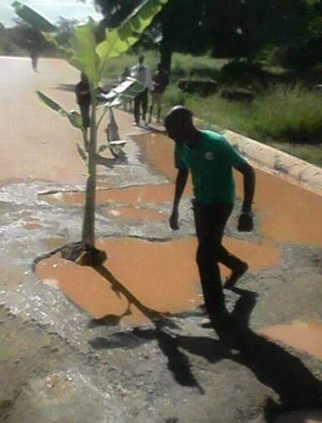 DougColtart's tweet photo. 📣 URGENT ALERT: Remember these legends who planted banana trees in potholes in Kadoma? Well...they got City Council’s attention who fixed the potholes!

BUT NOW...they’ve been summoned to Kadoma ZRP Law &amp; Order! For what?!? 😡 

We DEMAND they be RELEASED IMMEDIATELY!

Pls RT https://t.co/2lYcPzXF0n