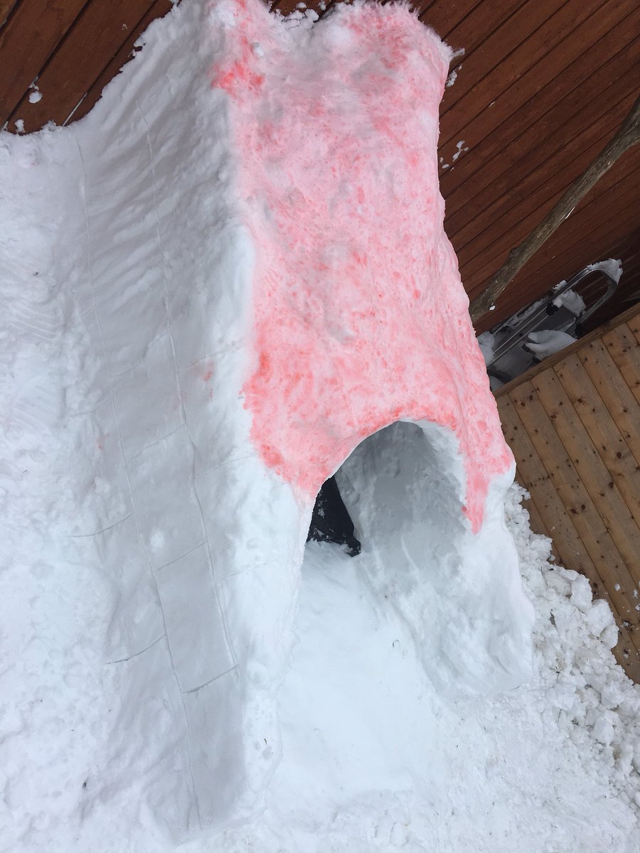 AmandaHunter75's tweet photo. @SimpsonPrimary John had lots  of fun in the snow today 😀 #SPSsnowday https://t.co/B647kFokUl