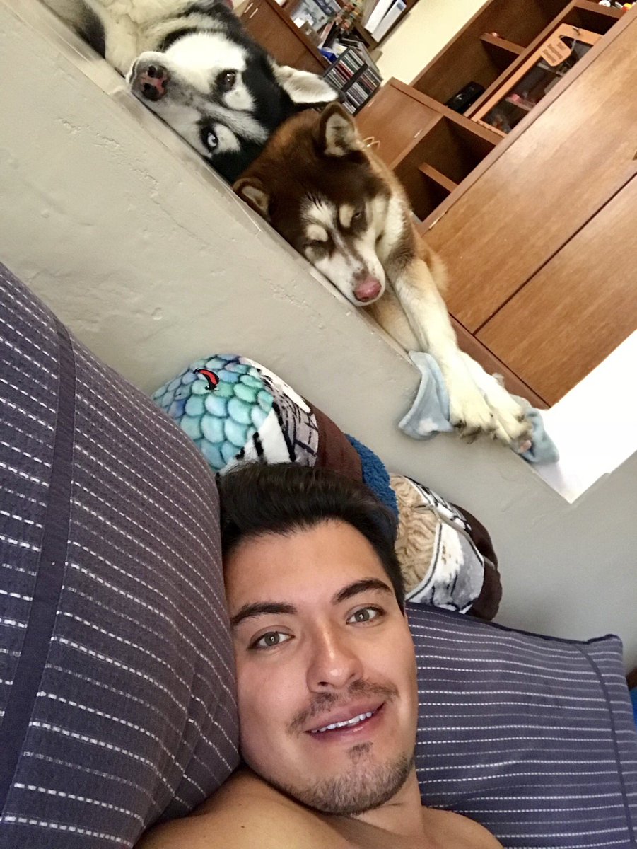 ivan2689's tweet photo. #threesome #huskies #katara #innya https://t.co/fXXv6u9YxO