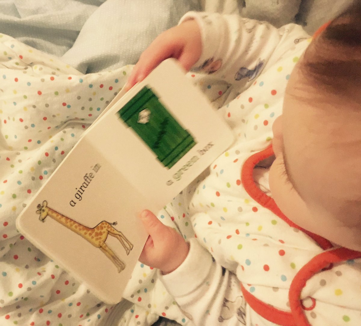 josephine_hayes's tweet photo. Thanks for our #WorldBookDay book @WorldBookDayUK #dearzoo #colours #babyreader https://t.co/vk40d15iLC