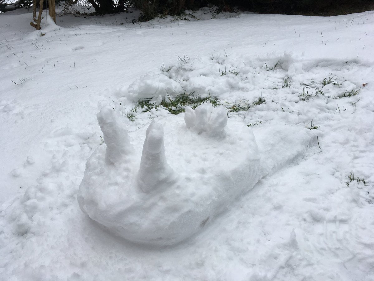 Cathryn Quick tweet media