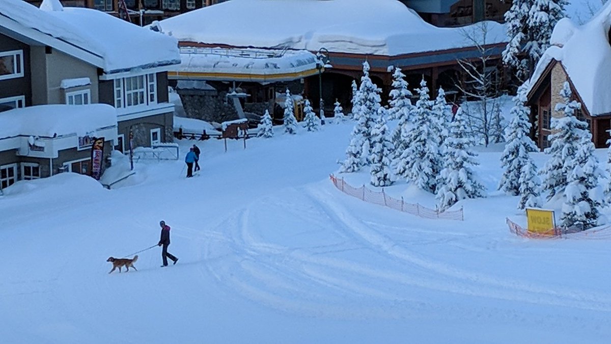 SBatBW's tweet photo. 37cm last 24hrs @BigWhite 93cm last 7 days nothing else to say for final Masters day but ENJOY #mastersrule #letitsnow https://t.co/nMJv636Siy