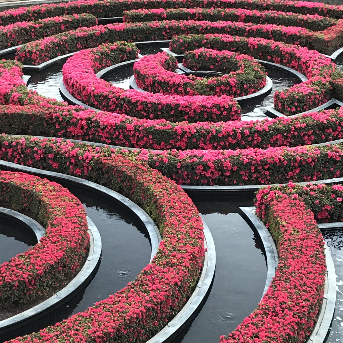 garygoldsmith's tweet image. Shape + Texture + Nature getty.edu #architecture #design #museum #nature #losangeles #landscape #buildings #modernism