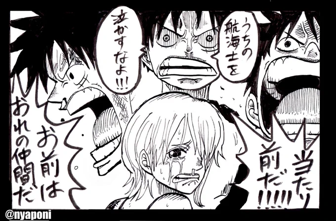 ルフィの怒りとナミの涙 