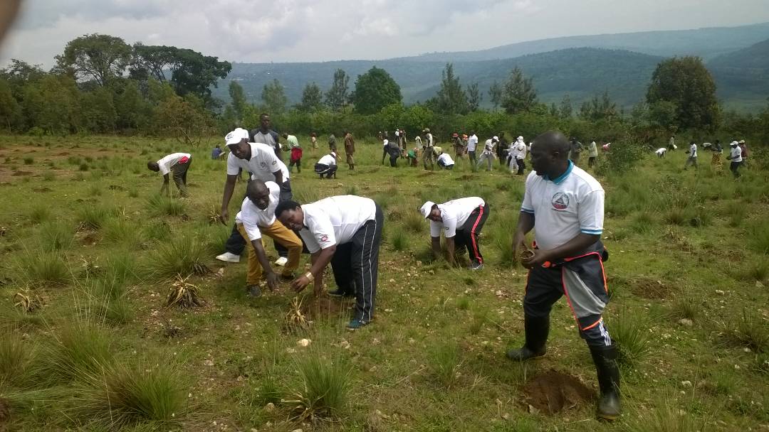 AbedeTerimbere's tweet photo. Les membres d'@AbedeTerimbere avec la population en @NgoziProvince dans la contribution de la protection de l'environnement @RacineMizero @abavukanyi @WID_collectif @afmasharikifest https://t.co/JxxZnQWJhU