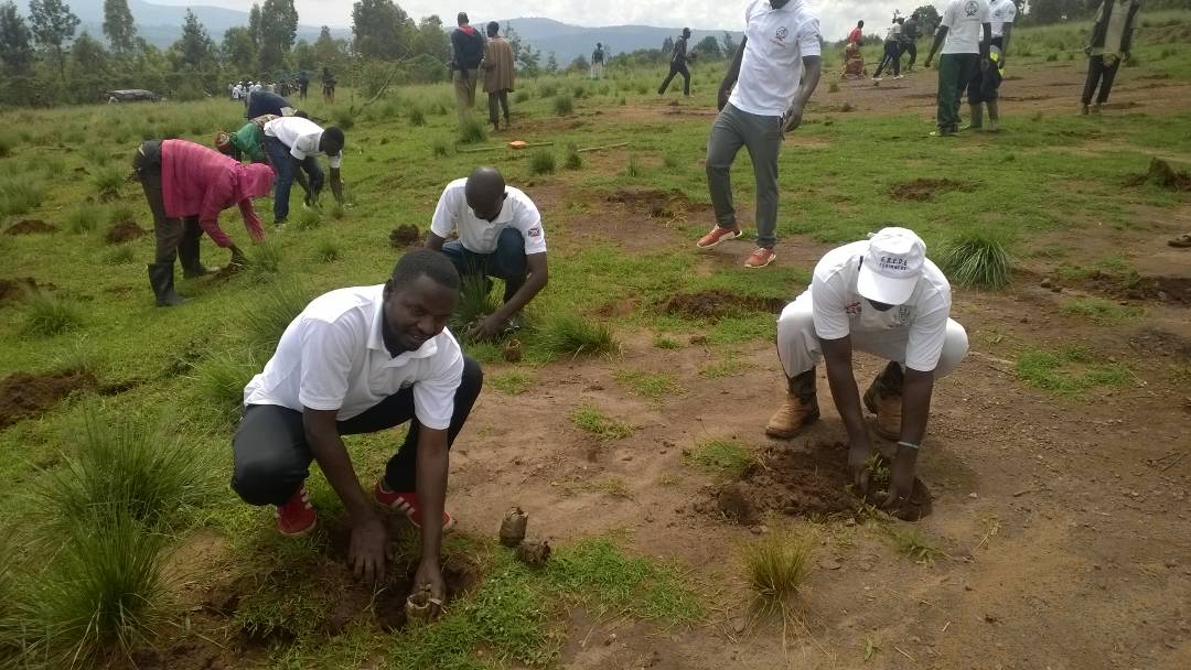 AbedeTerimbere's tweet photo. Les membres d'@AbedeTerimbere avec la population en @NgoziProvince dans la contribution de la protection de l'environnement @RacineMizero @abavukanyi @WID_collectif @afmasharikifest https://t.co/JxxZnQWJhU