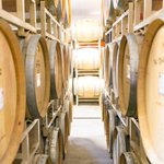 Photo by Basel_Cellars (@Basel_Cellars)