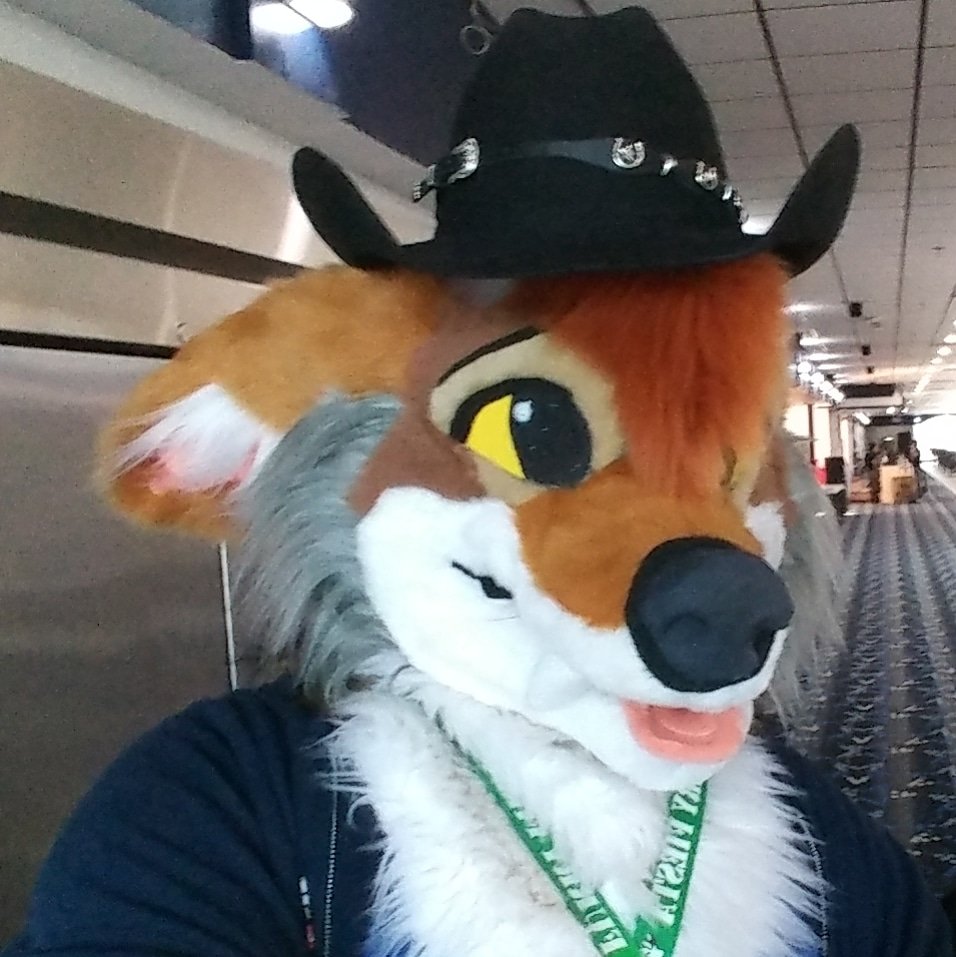 TamaskaKitsu's tweet photo. Howdy >.< happy #Fursuitfriday with Kross in a #cowboyhat >.<
The hat was placed upon my head by a guy at the #Dallasfurbowl
#furry #fursuit #fursuiter #krosscoyote #coyote #costume #texasfur #dfwfur #ItsProbablyMars https://t.co/Fo7WMfLUVb