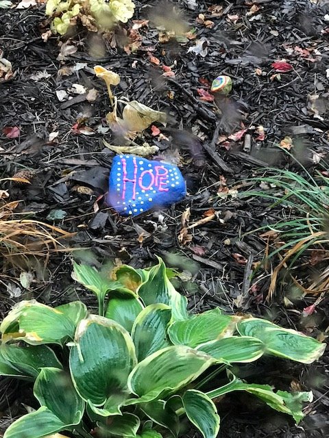 Cummins Behavioral Health Systems tweet media