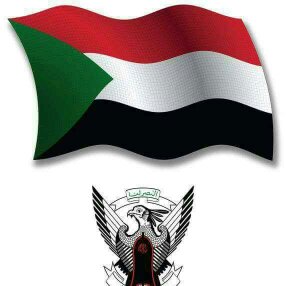 CbossBi's tweet photo. حصريآ علي تسجيلات الجنرال نيوزك https://t.co/Rv5JPQuZGb