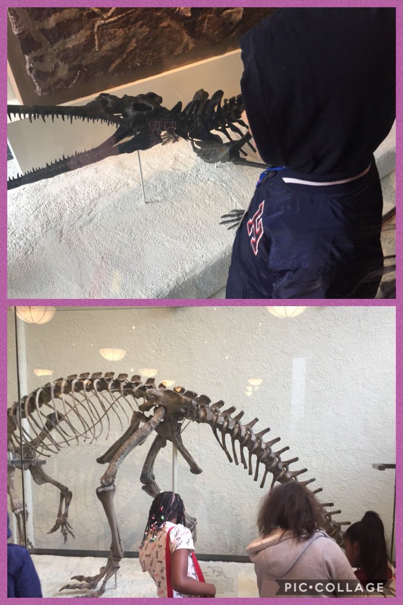 Our class had a great time learning about Dinosaurs,Fossils and Ocean Life at The American Museum of Natural History !@ScienceWhalen #76learns