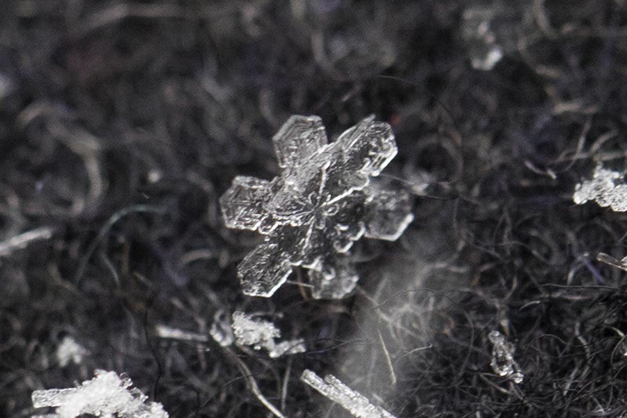 Neville Styles tweet media