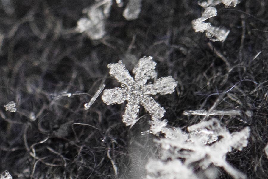 Neville Styles tweet media