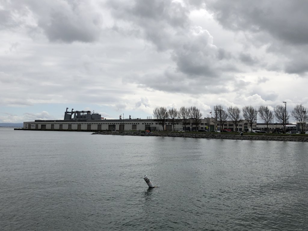 Tom_Milden's tweet photo. Had a great time at elastic{on} this year but I kinda missed this place as a venue! #elasticon #pier48 https://t.co/GFbrIW2d02