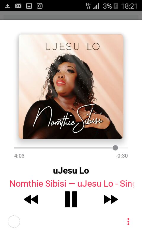 Nomthie Sibisi tweet media
