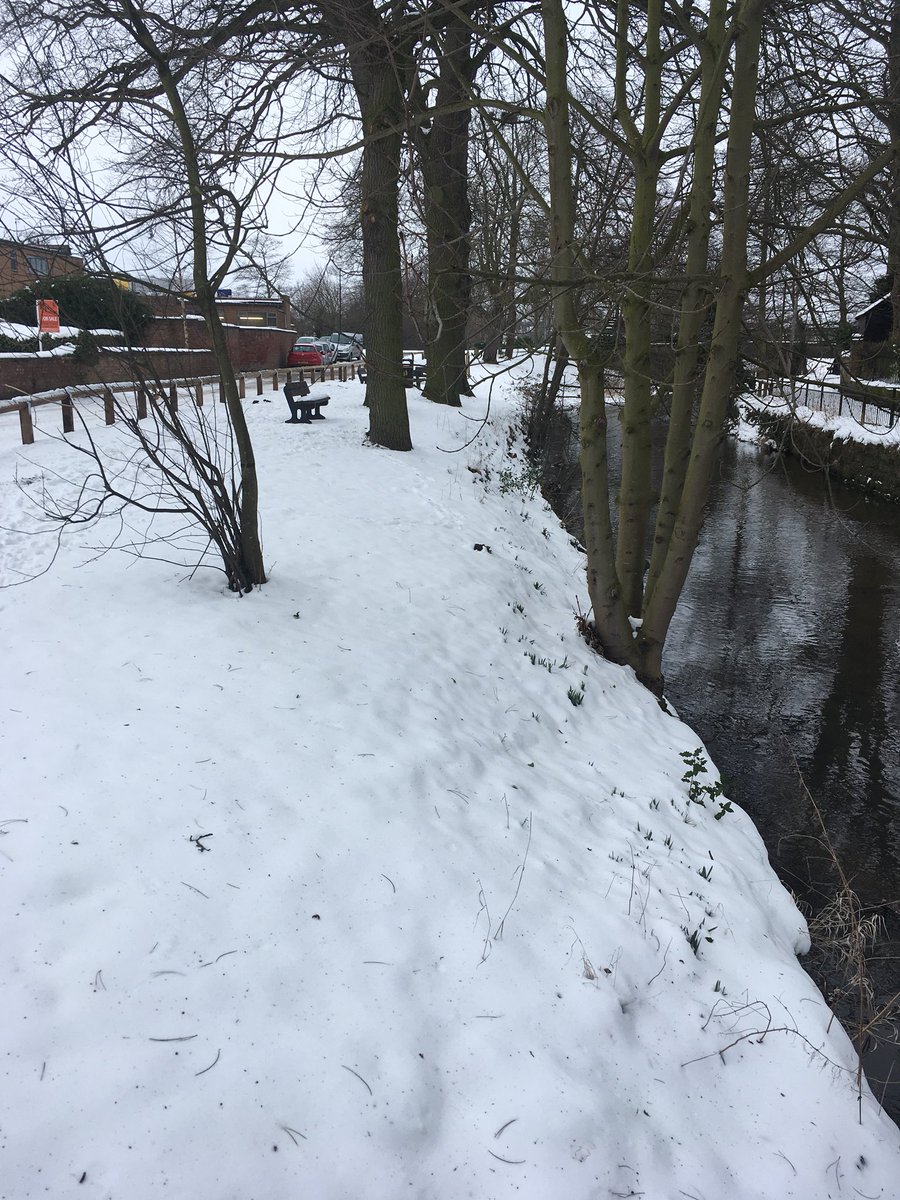LevensideAssoc's tweet photo. Winter wonderland on #levenside #stokesley ❄️☃️ https://t.co/lix5oLWO2w