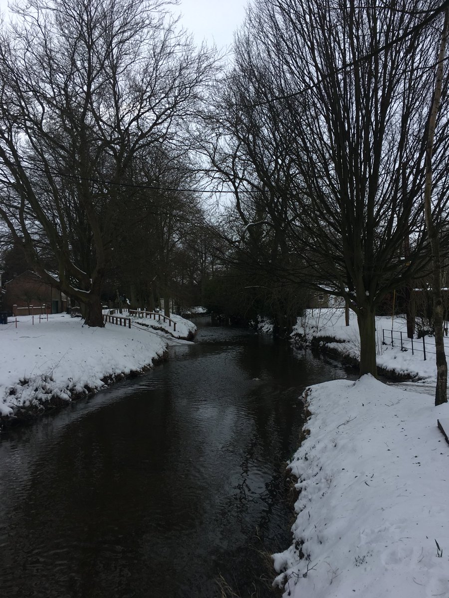 LevensideAssoc's tweet photo. Winter wonderland on #levenside #stokesley ❄️☃️ https://t.co/lix5oLWO2w