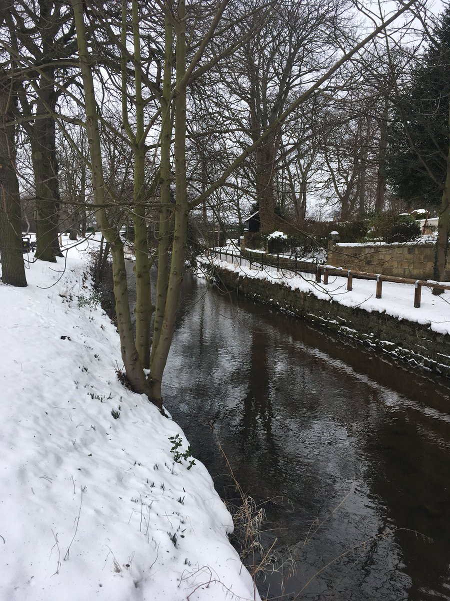 LevensideAssoc's tweet photo. Winter wonderland on #levenside #stokesley ❄️☃️ https://t.co/lix5oLWO2w