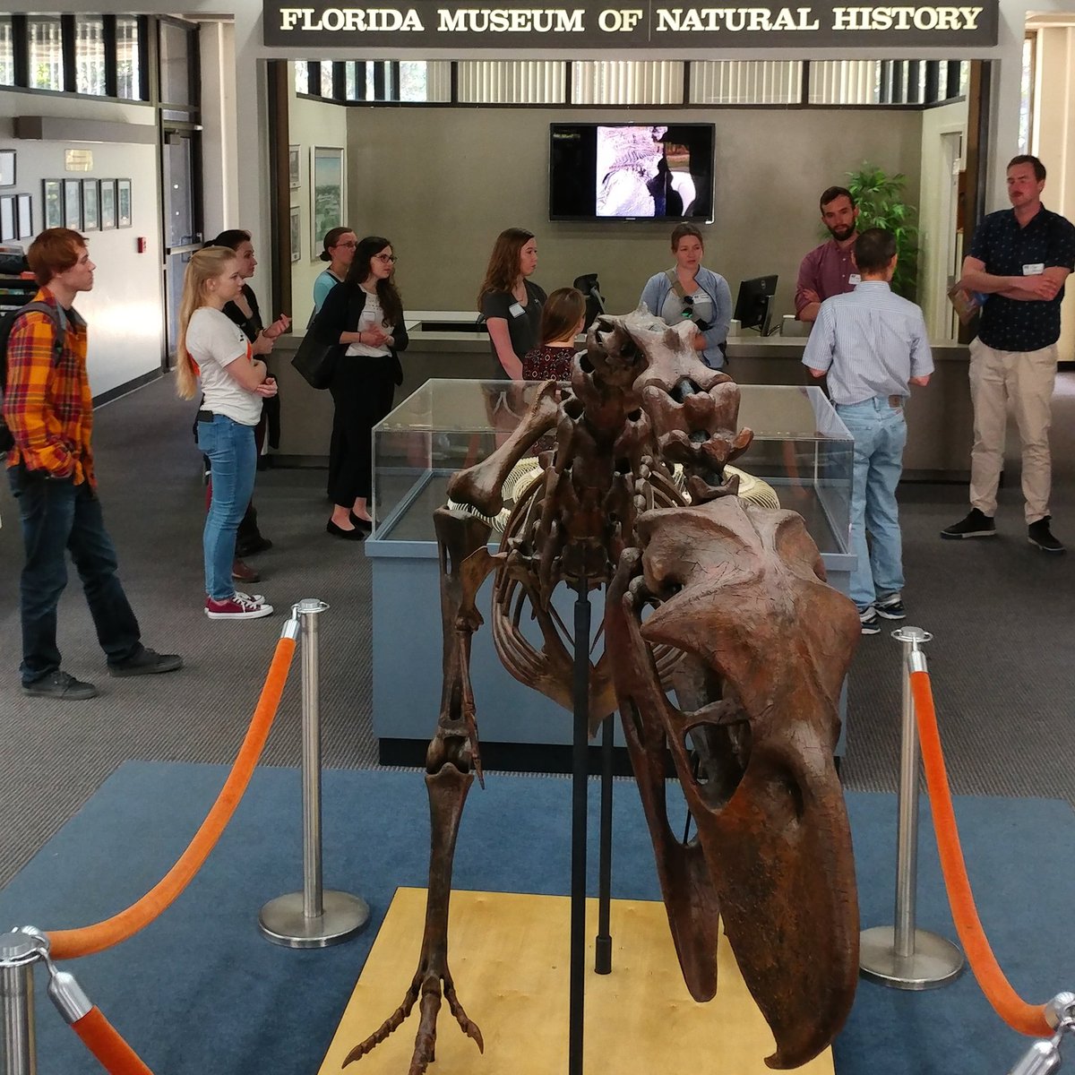 Dr. Charlie Cobb showing prospective grad students around the Florida Museum of Natural History. #UFAnthropology