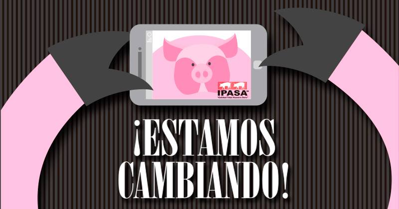 IPASAONLINE's tweet photo. Cada vez mas cerca del mundo online🐷🐷🐷🐷 https://t.co/roK1jwvKND