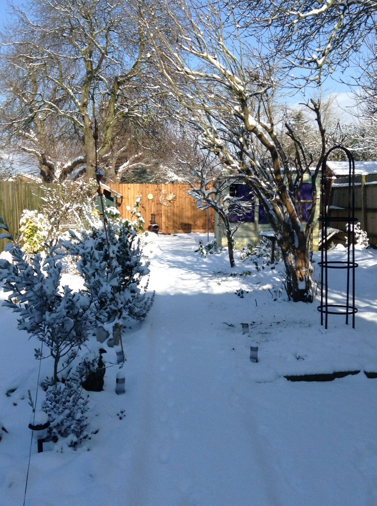 epona33's tweet photo. @graveshambc Our garden with one of my cats Ragnar https://t.co/vddKLYLXTB