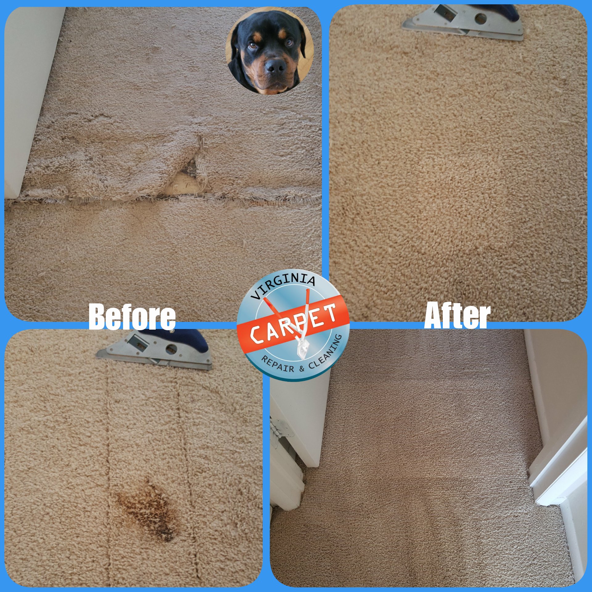 va carpet repair on Twitter "Pet Damage Carpet Repair in Fairfax VA