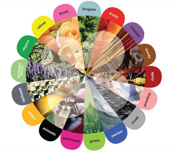 Perfume_Society's tweet photo. . @Unilever disclose fragrance ingredients in a searchable database #cleanlabelling https://t.co/hmgt83UKIJ https://t.co/kDwhJMSQPy