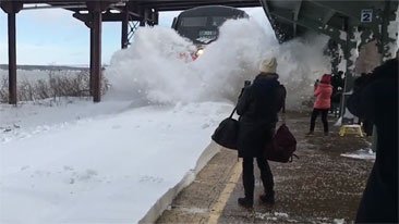 All this snow causes for a fun snow post. Caption this! #snowday #snowsnowsnow #captionaway