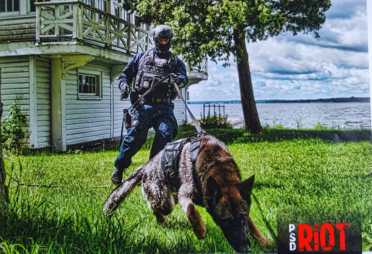 Congrats Jeff!
Congratulations to D/Cst Jeff Burns for being awarded the 2017 DRPS Handler of the Year. Jeff &amp; PSD Riot had numerous high profile locates. Keep up the GREAT WORK Jeff &amp; Riot!