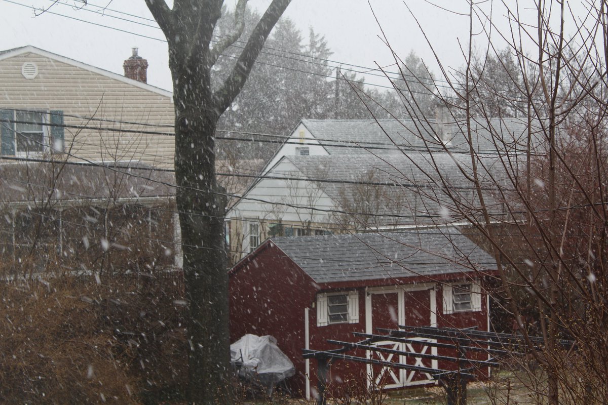 john madden tweet media