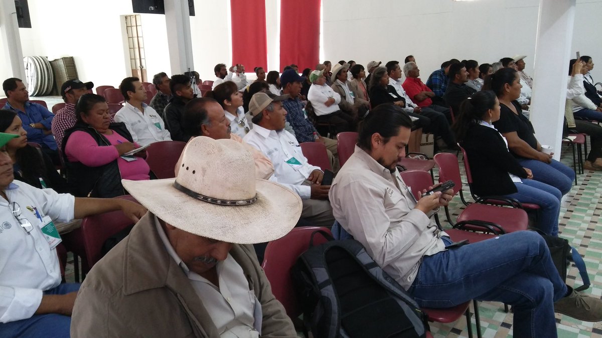 MasAgroGto's tweet photo. @MasAgroGto presente en taller sistematización experiencia del extensionismo en #Guanajuato @ACCIMMYT @SDAyR_Gto @incarural https://t.co/0hgJpGqDKd