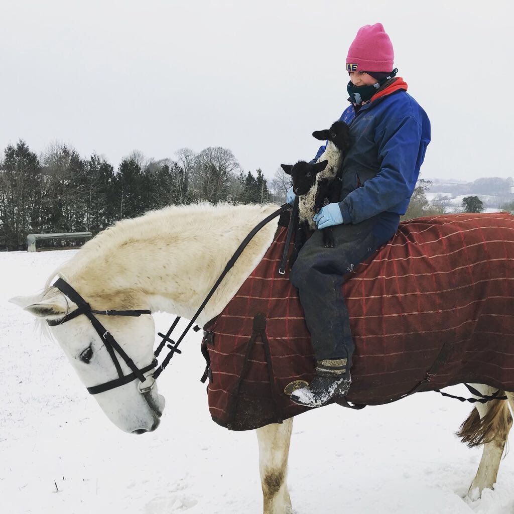 PurstonLamb's tweet photo. Our Shepherd Tracy didn’t let #snowday3 stop her: she came to work on horseback because lambing doesn’t stop for anyone #countryfile #lambinglive #BackBritishFarming @bbcnews @FarmersWeekly @Telegraph @thetimes @itvnews @DailyMailUK https://t.co/KRFSwA47FC