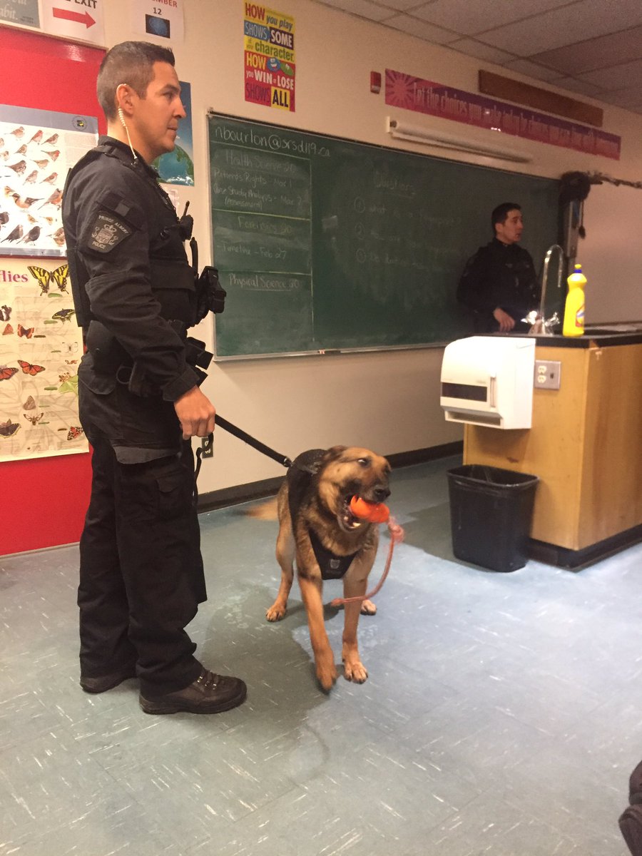 paSchoolLiaison's tweet image. Thanks @PSDDaxa &amp;amp; PSDFeebie for bringing their Humans to @PACarlton Forensics 20 @BourlonCCHS ! #saderscience