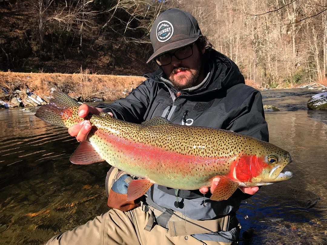 flyandstream's tweet photo. One of my favorite people to follow on Instagram – Jaocb with a healthy #rainbowtrout after a crazy fight on 7x.

#flyfishnc #flyfishing #nantahalariver #foundryfishing #tnflyco #northcarolina https://t.co/yOPsVosLVx