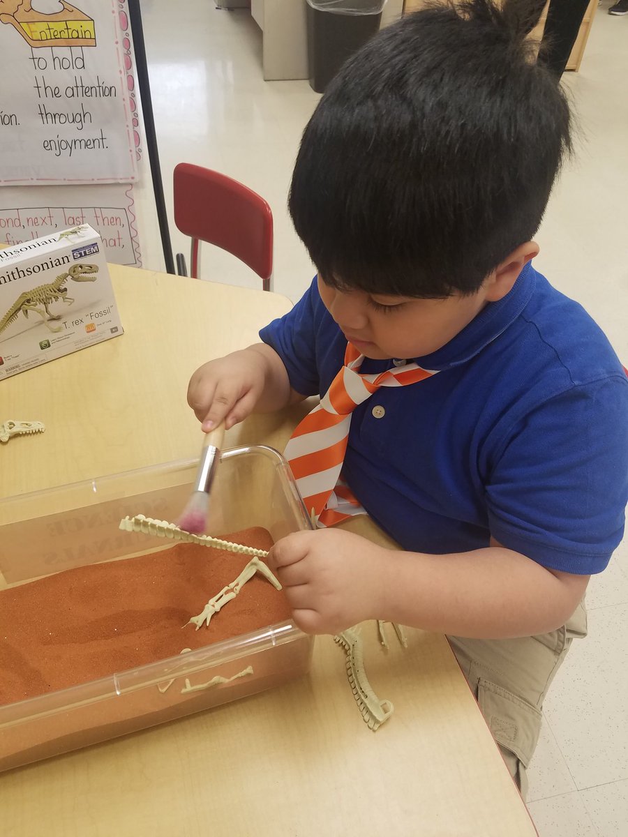 FariasESLISD's tweet photo. Mrs. Mendoza's students being archeologists for the day! #DiggingForBones #Dinosaurs https://t.co/SzvdfCw2VK