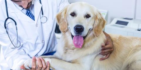 BeausBathHouse's tweet photo. Looking for a #veterinarian in the #Denton area? Check out Beau's Buddies for a list of notable #animalhospitals where your #pet can receive great care: https://t.co/VKKeaoNTcw #BeausBathHouse #Texas #PetCare #Dogs https://t.co/7QnvVbDXVo